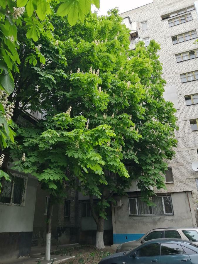 Apartments near the sea Odesa Exterior photo